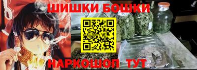 стаф Гатчина