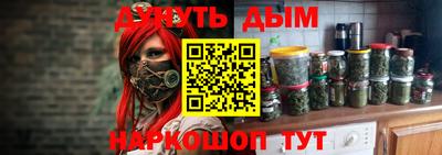 стаф Гатчина