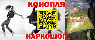 стаф Гатчина