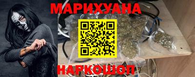 стаф Гатчина