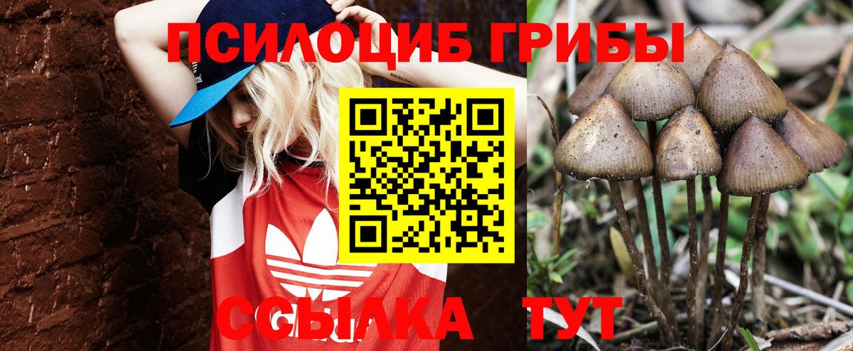Псилоцибиновые грибы мухоморы Гулькевичи