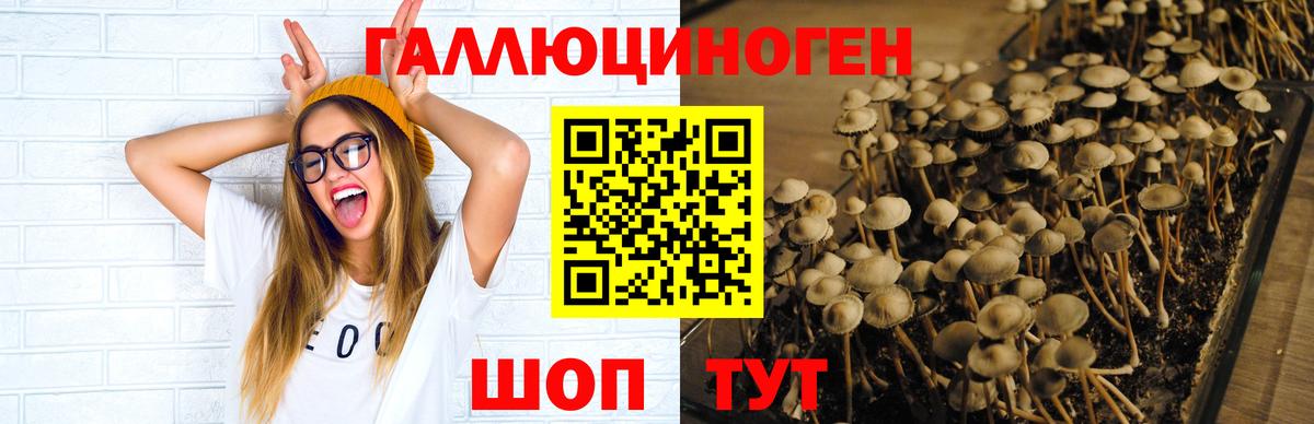 Псилоцибиновые грибы ЛСД  Псилоцибиновые грибы Magic Shrooms  Гулькевичи  Вход с VPN 