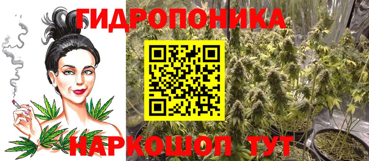 Каннабис AK-47 Гулькевичи